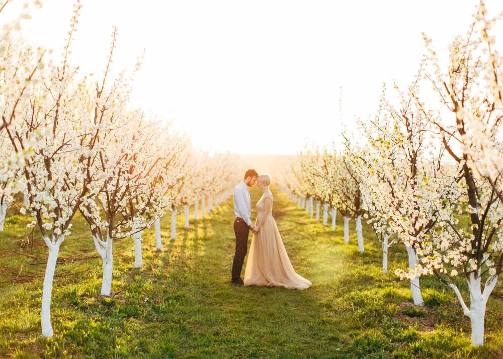 couple in elegant wear, standing together holding hands, in beautiful blooming garden